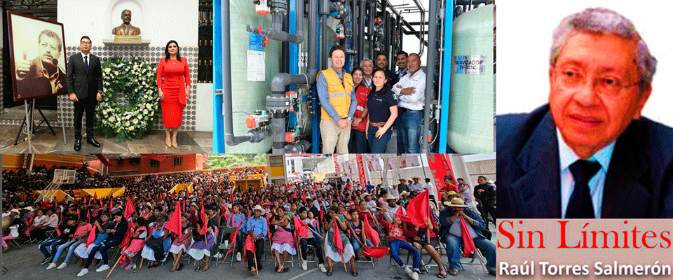 Exportación récord de aguacate mexicano