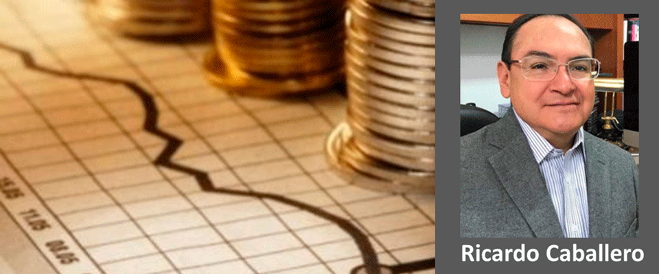 DISMINUCIÓN DE LA FORMACIÓN BRUTA DE CAPITAL