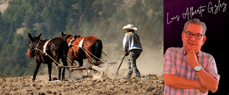 Despojo, expropiaciones y el pisoteo a campesinos por el Gobierno